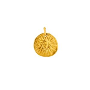 Elegant Gold Medallion Necklace